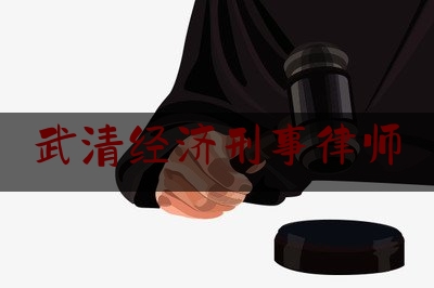 武清经济刑事律师(天津武清有名律师咨询)