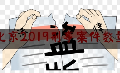 北京2019刑事案件数量（北京刑事案件犯罪率）