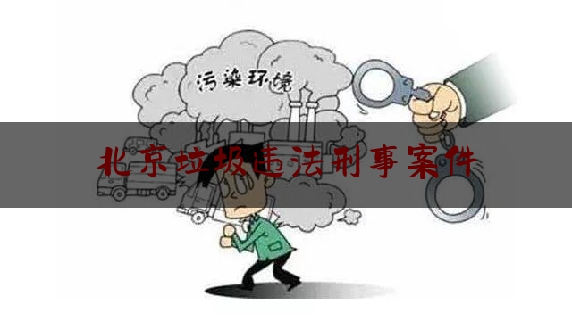 北京垃圾违法刑事案件（2021年北京垃圾法律法规）