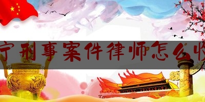 [日常]专业消息:济宁刑事案件律师怎么收费,平阳灭门惨案