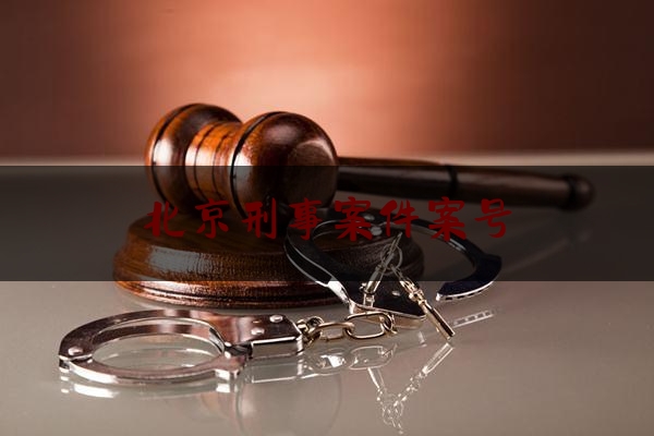 北京刑事案件案号（刑事案件的案号）