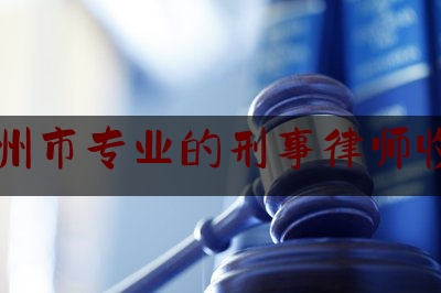 杭州市专业的刑事律师收费（杭州市刑事案件律师收费）