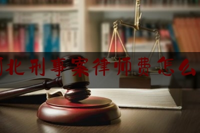 河北刑事案律师费怎么算（河北省刑事案件律师费用收取标准）