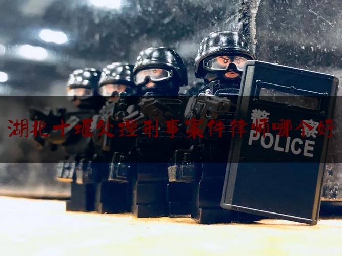 湖北十堰处理刑事案件律师哪个好（十堰市刑事案件）