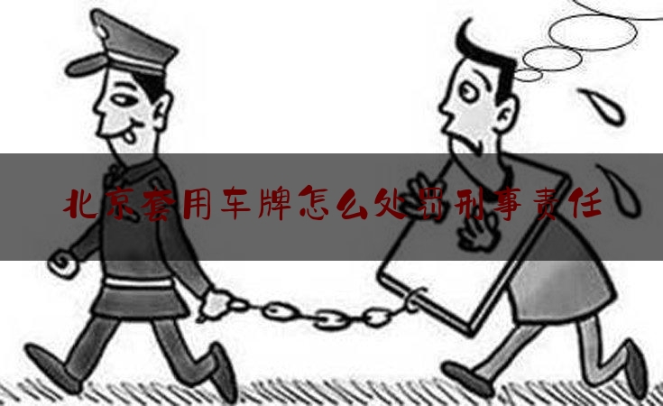 北京套用车牌怎么处罚刑事责任（北京套用车牌怎么处罚刑事责任人的）