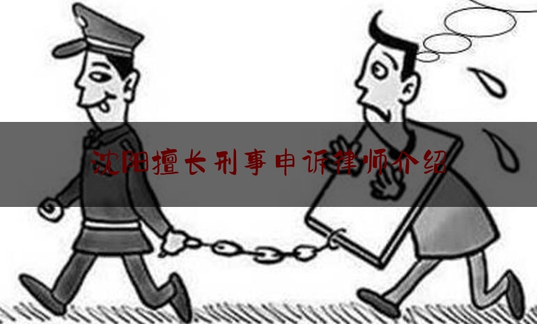 沈阳擅长刑事申诉律师介绍（沈阳市刑事案件知名律师）