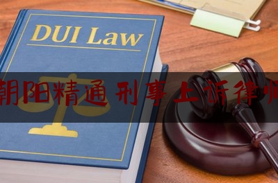 北京朝阳精通刑事上诉律师费用（打官司找律师流程）