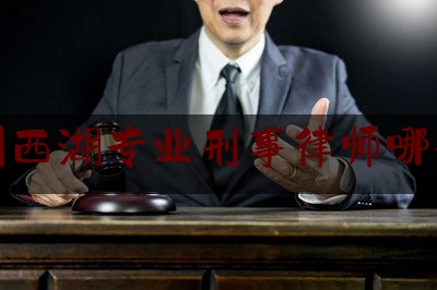 杭州西湖专业刑事律师哪个好（杭州刑事案件比较好的律师）