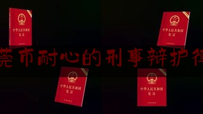 东莞市耐心的刑事辩护律师（东莞知名刑事律师）