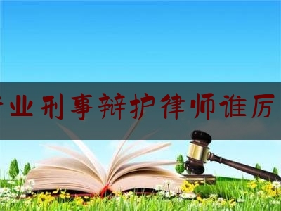 今日专业头条:专业刑事辩护律师谁厉害,北京有名的刑事案件辩护律师