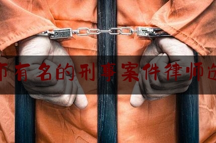 珠海市有名的刑事案件律师选哪个