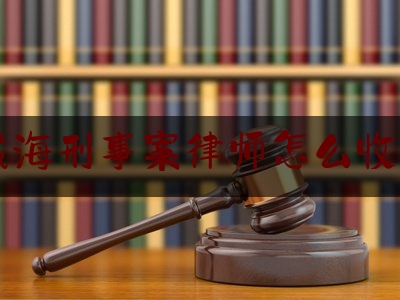 威海刑事案律师怎么收费（威海刑事辩护律师）