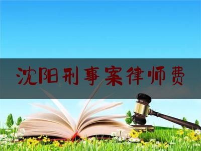 沈阳刑事案律师费（沈阳刑事案律师费多少钱）