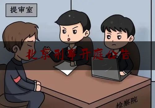 北京刑事开庭公告（北京刑事开庭公告网）